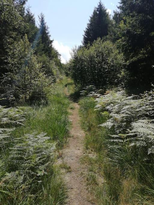 Les 3 Freres : Plain-Pied En Pleine Nature Vresse-sur-Semois Exterior foto
