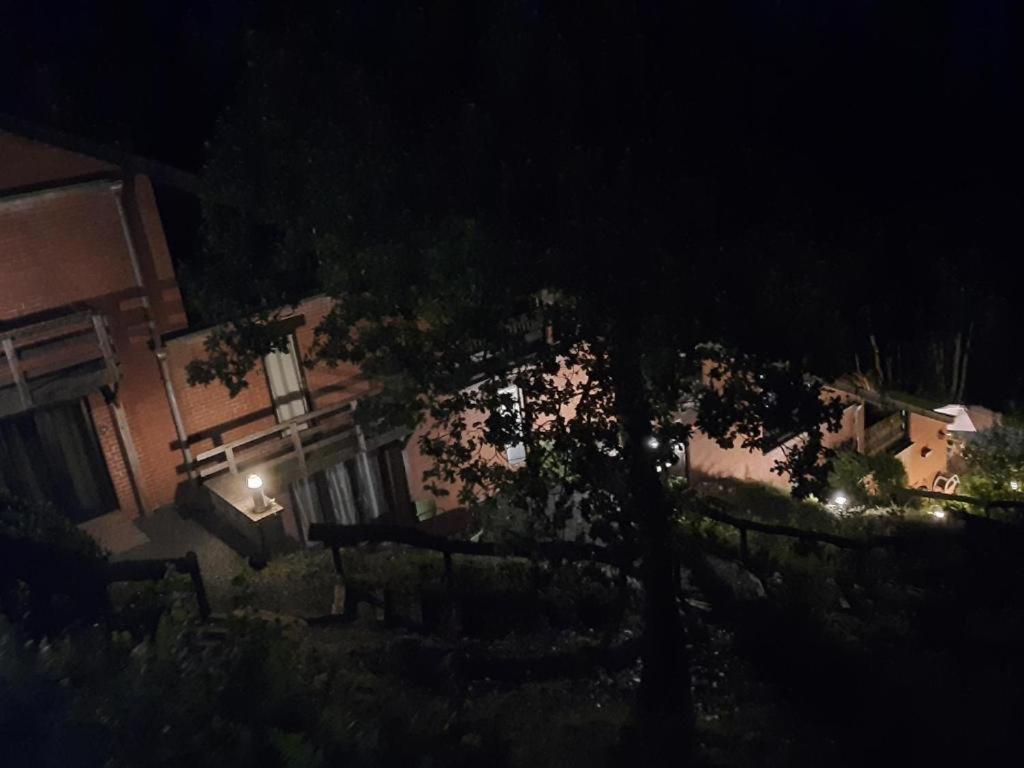 Les 3 Freres : Plain-Pied En Pleine Nature Vresse-sur-Semois Exterior foto