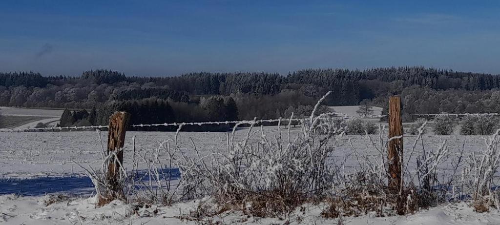 Les 3 Freres : Plain-Pied En Pleine Nature Vresse-sur-Semois Exterior foto