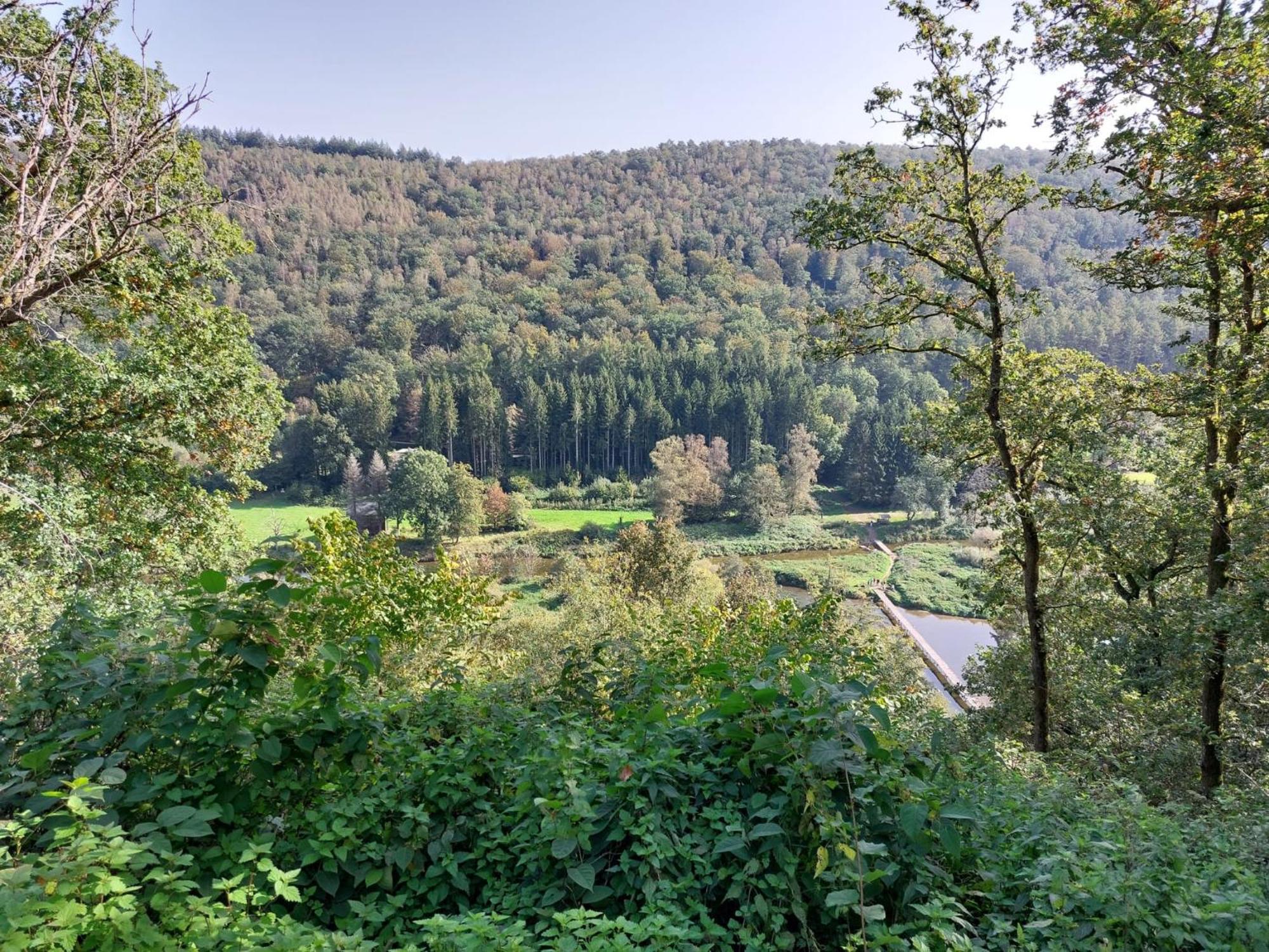 Les 3 Freres : Plain-Pied En Pleine Nature Vresse-sur-Semois Exterior foto